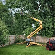 Best Lawn Pest Prevention  in Estancia, NM